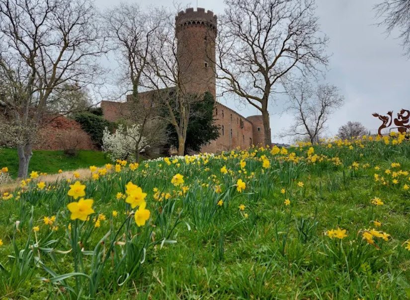 Zülpich Castle, Zülpich, Germany, Germany